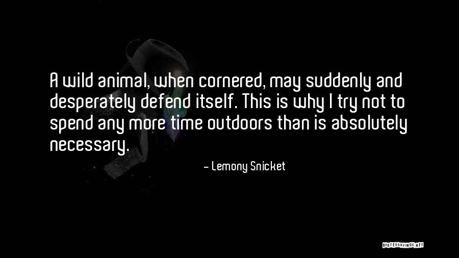Cloakroom Furniture Quotes By Lemony Snicket Cloakroom Furniture Quotes By Lemony Snicket