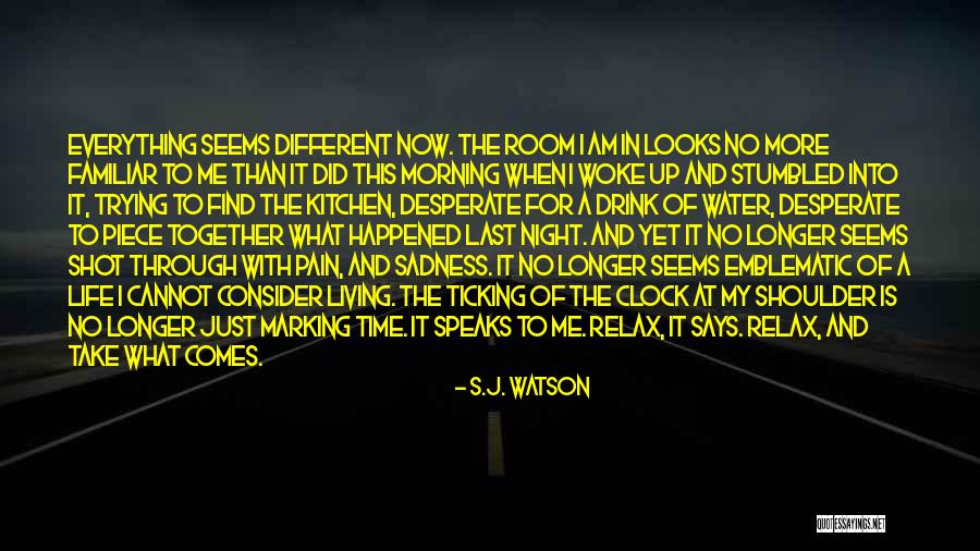 Clock Ticking Quotes By S.J. Watson