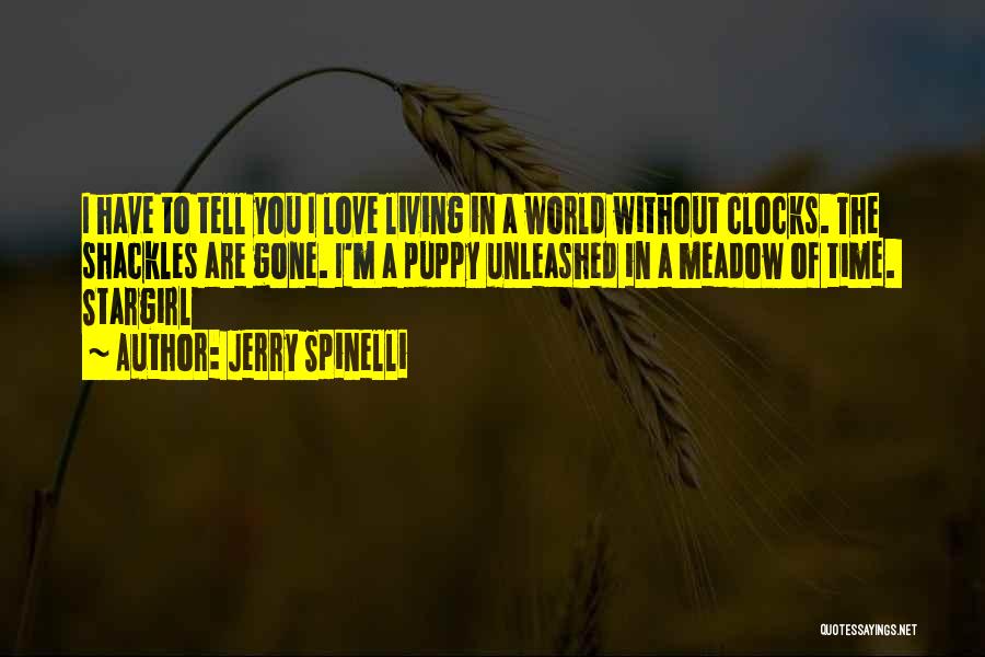 Clocks And Love Quotes By Jerry Spinelli