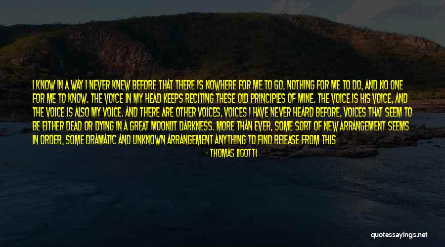 Clog Shoes Quotes By Thomas Ligotti Clog Shoes Quotes By Thomas Ligotti