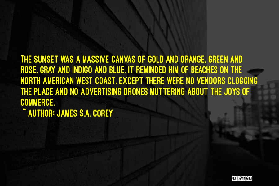 Clogging Quotes By James S.A. Corey