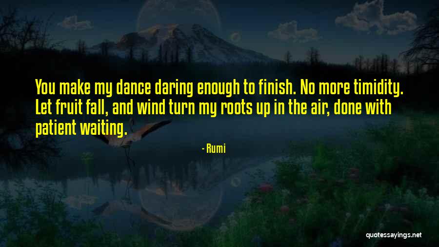 Cloitrer Quotes By Rumi Cloitrer Quotes By Rumi