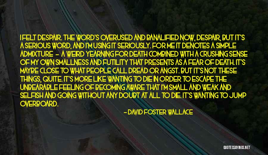 Close Call Quotes By David Foster Wallace