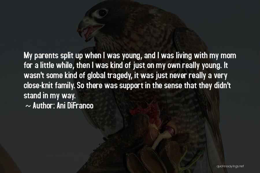 Close Knit Family Quotes By Ani DiFranco