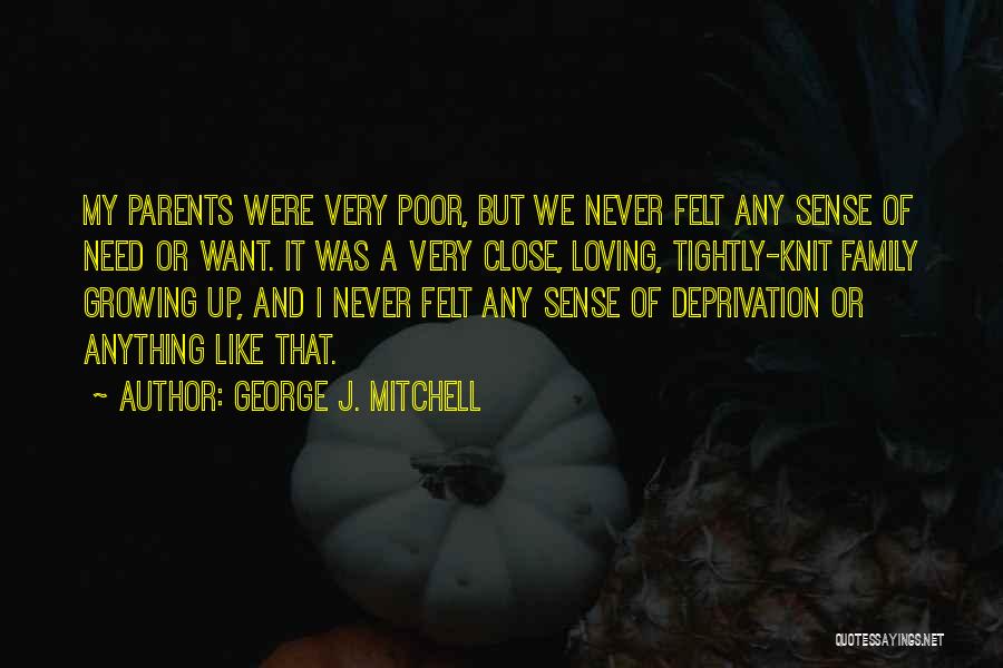 Close Knit Family Quotes By George J. Mitchell