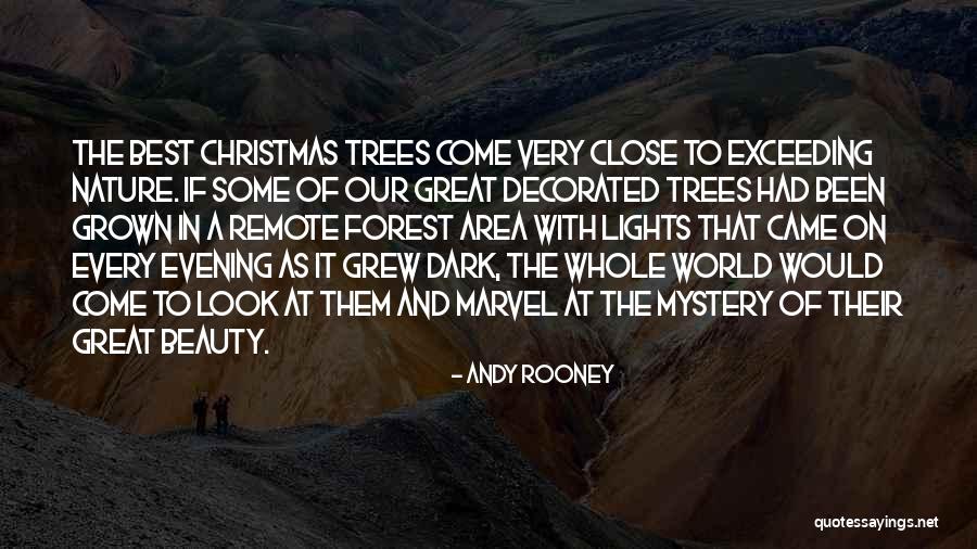 Close To Christmas Quotes By Andy Rooney