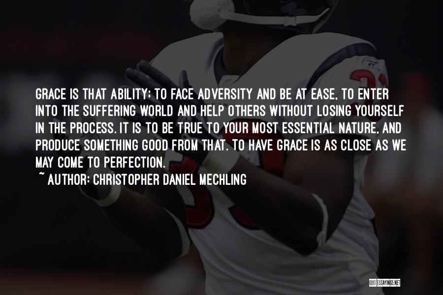 Close To Perfection Quotes By Christopher Daniel Mechling