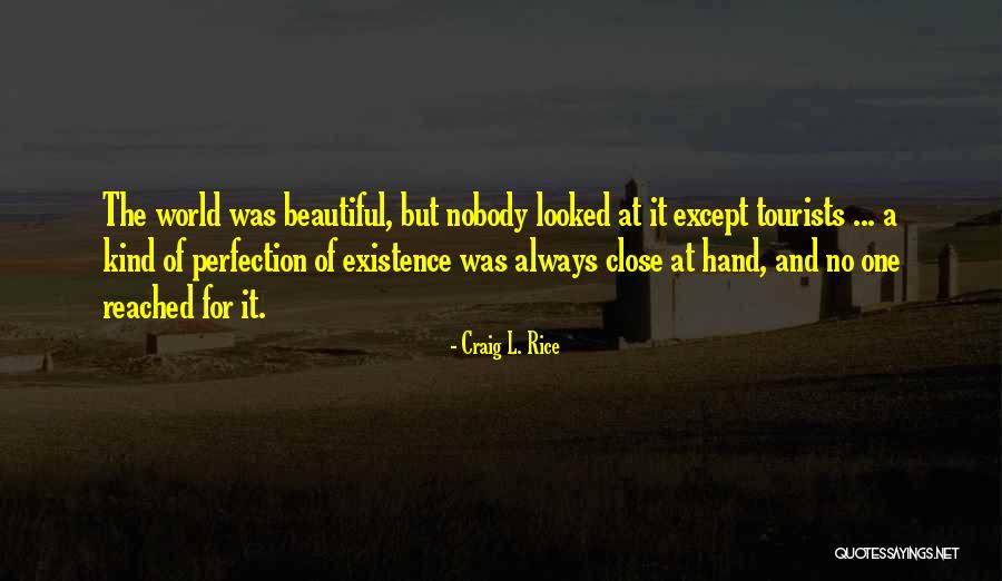 Close To Perfection Quotes By Craig L. Rice