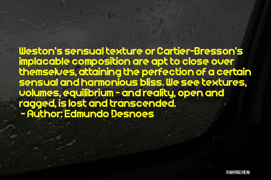 Close To Perfection Quotes By Edmundo Desnoes