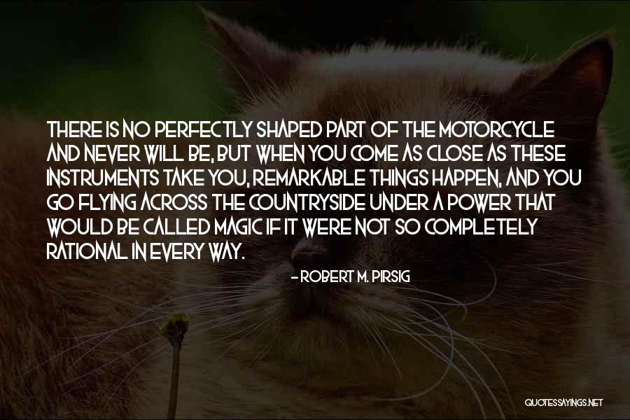 Close To Perfection Quotes By Robert M. Pirsig