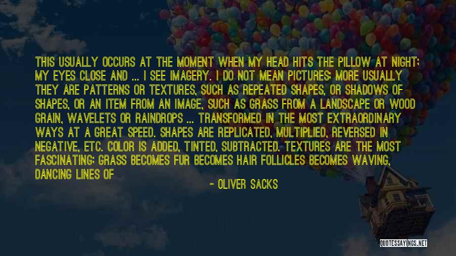 Close Up Image Quotes By Oliver Sacks