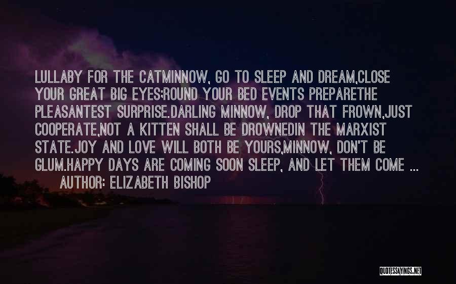 Close Your Eyes And Sleep Quotes By Elizabeth Bishop