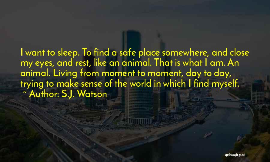 Close Your Eyes And Sleep Quotes By S.J. Watson