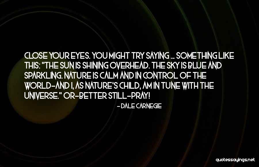 Close Your Eyes Quotes By Dale Carnegie