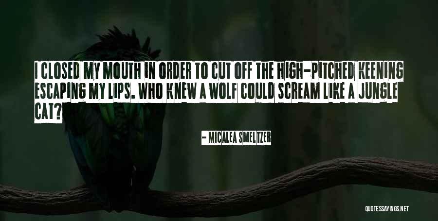 Closed Mouth Quotes By Micalea Smeltzer Closed Mouth Quotes By Micalea Smeltzer