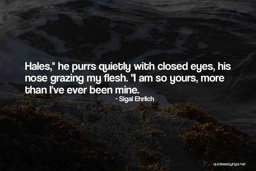 Closed Quotes By Sigal Ehrlich