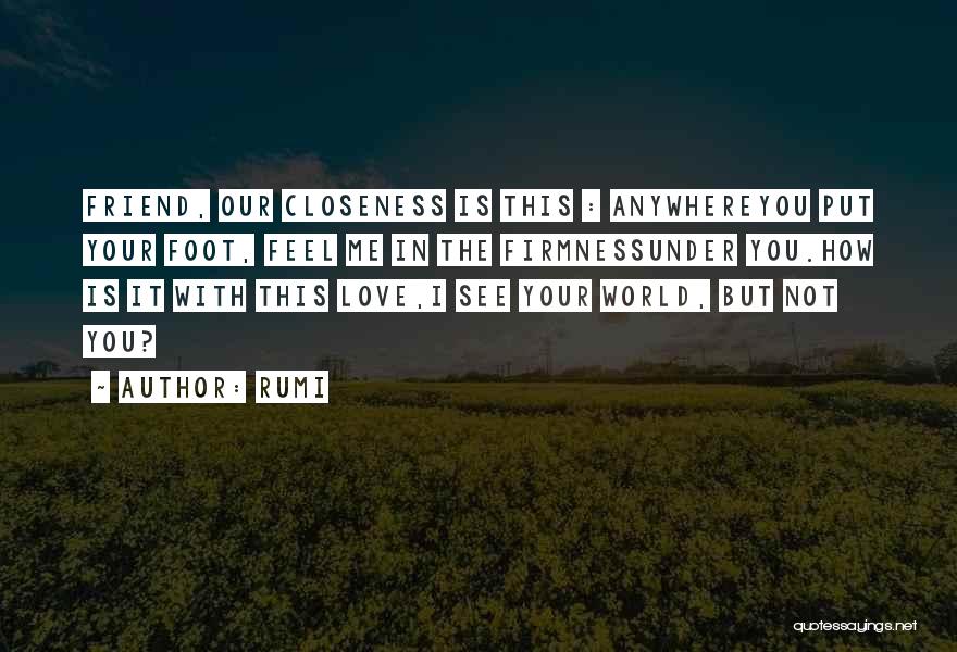 Closeness Quotes By Rumi