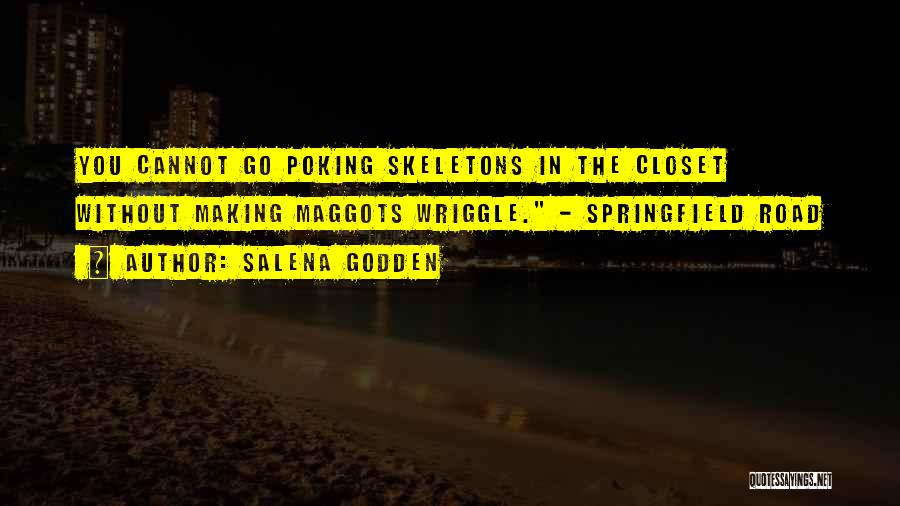 Closet Quotes By Salena Godden