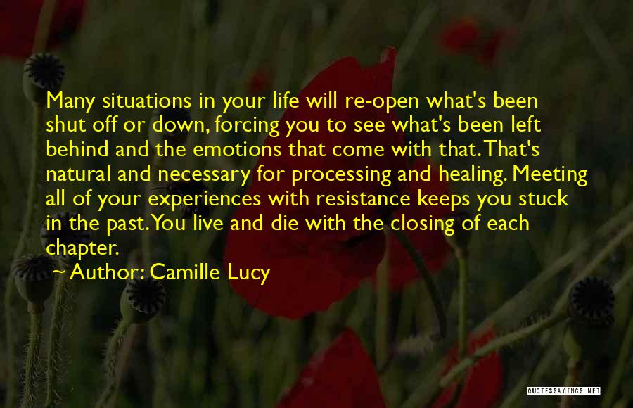 Closing A Chapter In Your Life Quotes By Camille Lucy