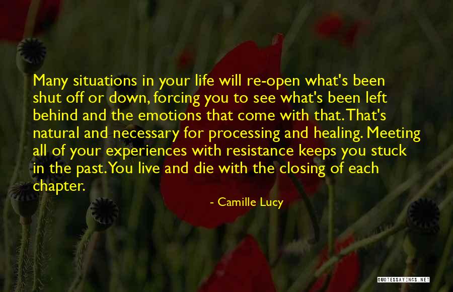 Closing A Chapter In Your Life Quotes By Camille Lucy