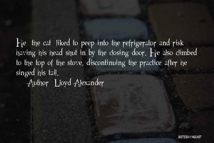 Closing Doors Quotes By Lloyd Alexander