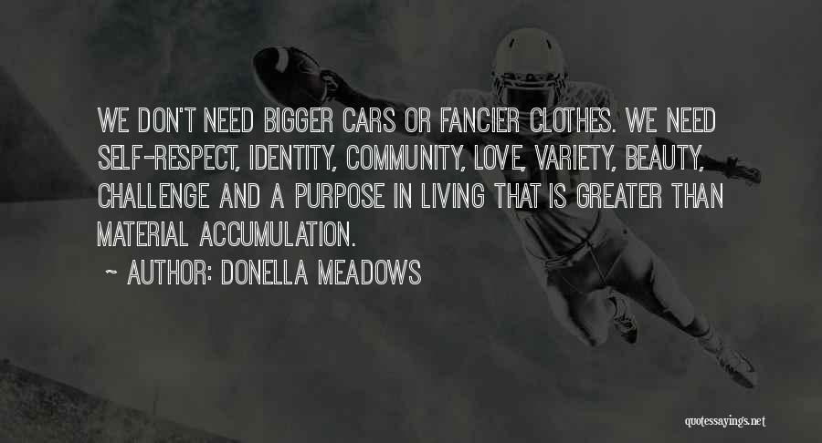 Clothes And Identity Quotes By Donella Meadows