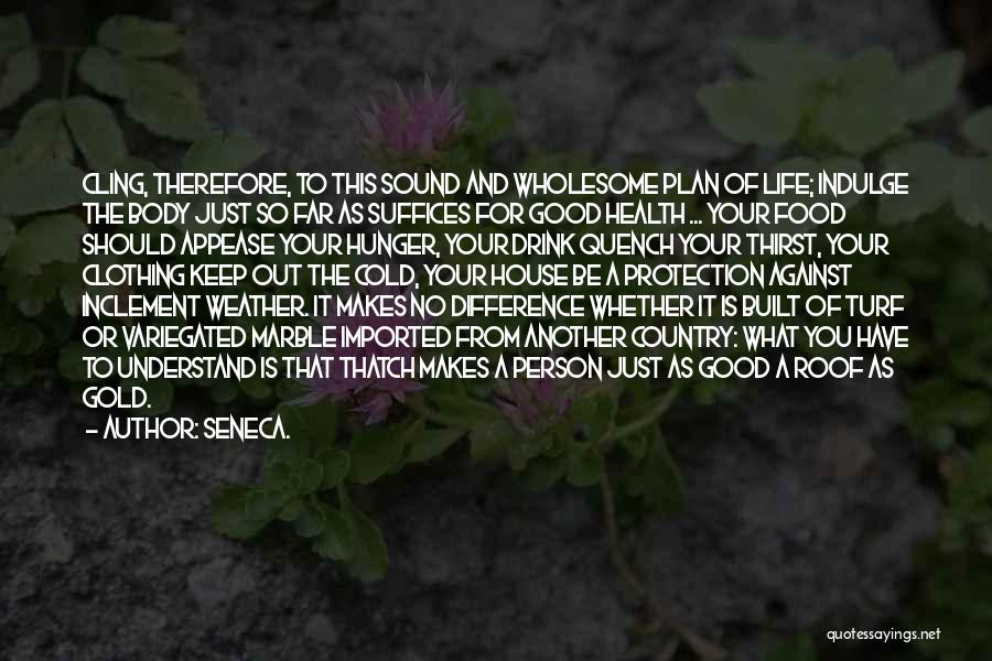 Clothing And Life Quotes By Seneca.