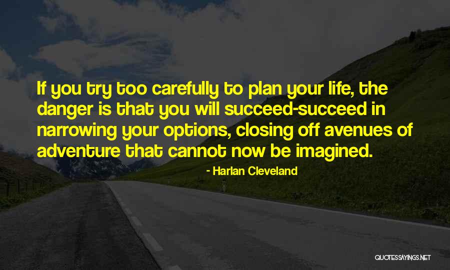 Clotworthys In Ireland Quotes By Harlan Cleveland Clotworthys In Ireland Quotes By Harlan Cleveland