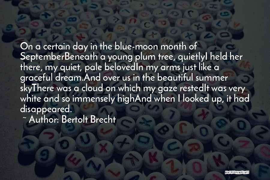 Cloud And Sky Quotes By Bertolt Brecht