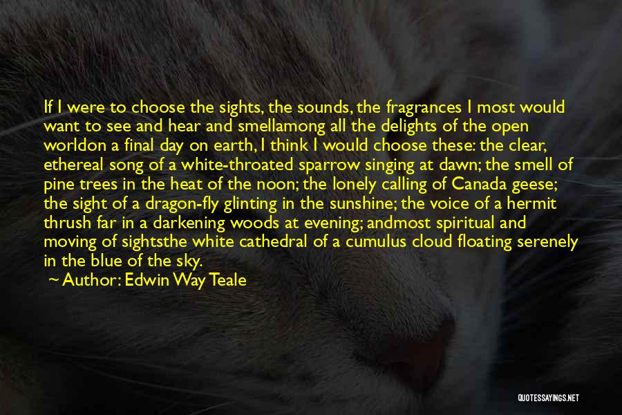 Cloud And Sky Quotes By Edwin Way Teale