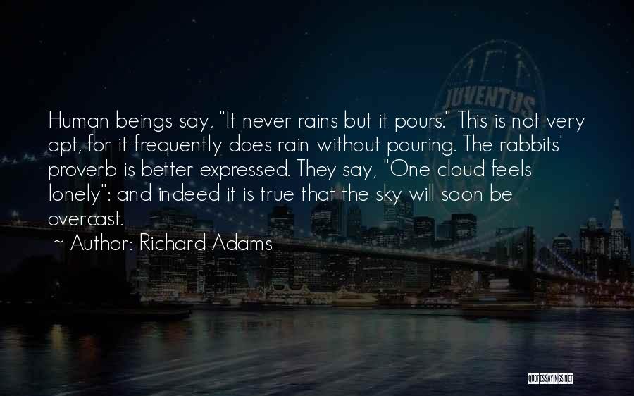 Cloud And Sky Quotes By Richard Adams