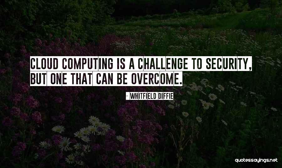 Cloud Computing Quotes By Whitfield Diffie Cloud Computing Quotes By Whitfield Diffie