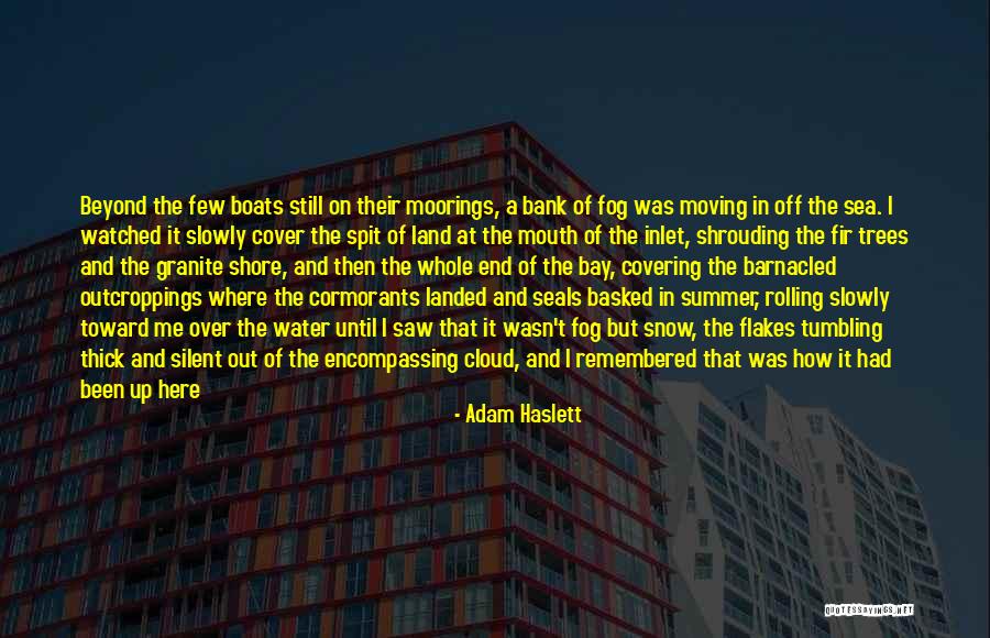 Cloud Cover Quotes By Adam Haslett