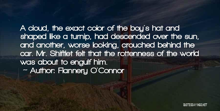 Cloud No 9 Quotes By Flannery O'Connor