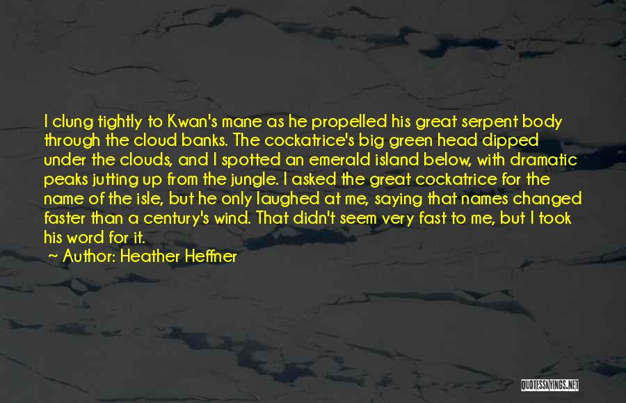 Cloud Over Your Head Quotes By Heather Heffner