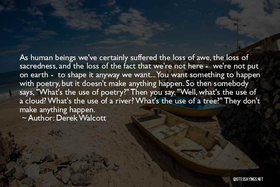 Cloud Shape Quotes By Derek Walcott