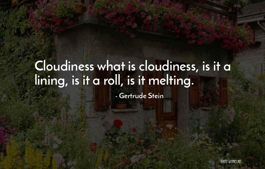 Cloudiness Quotes By Gertrude Stein Cloudiness Quotes By Gertrude Stein
