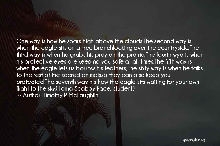 Clouds Above Quotes By Timothy P. McLaughlin