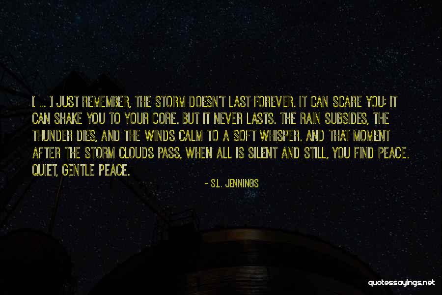 Clouds After Rain Quotes By S.L. Jennings