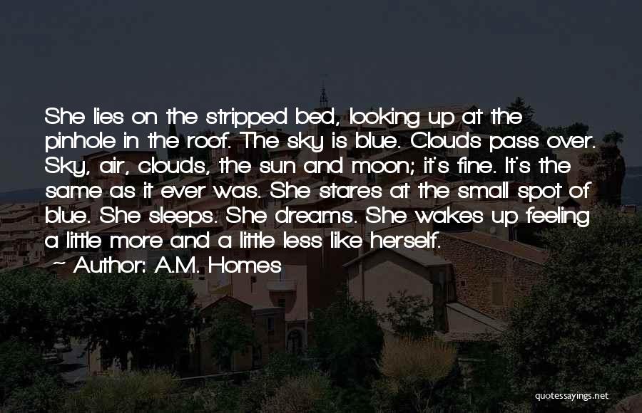 Clouds And Blue Sky Quotes By A.M. Homes