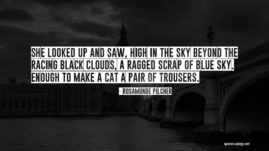 Clouds And Blue Sky Quotes By Rosamunde Pilcher