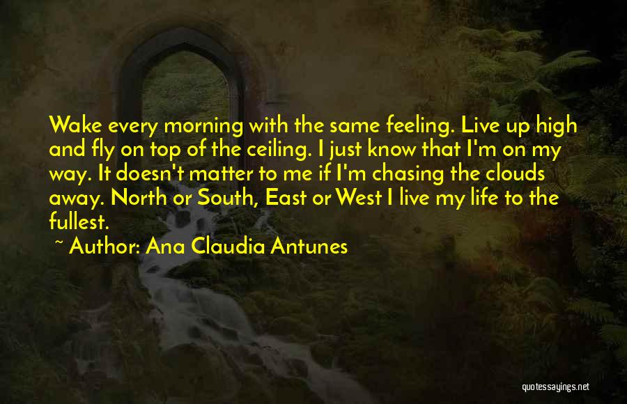 Clouds And Flying Quotes By Ana Claudia Antunes