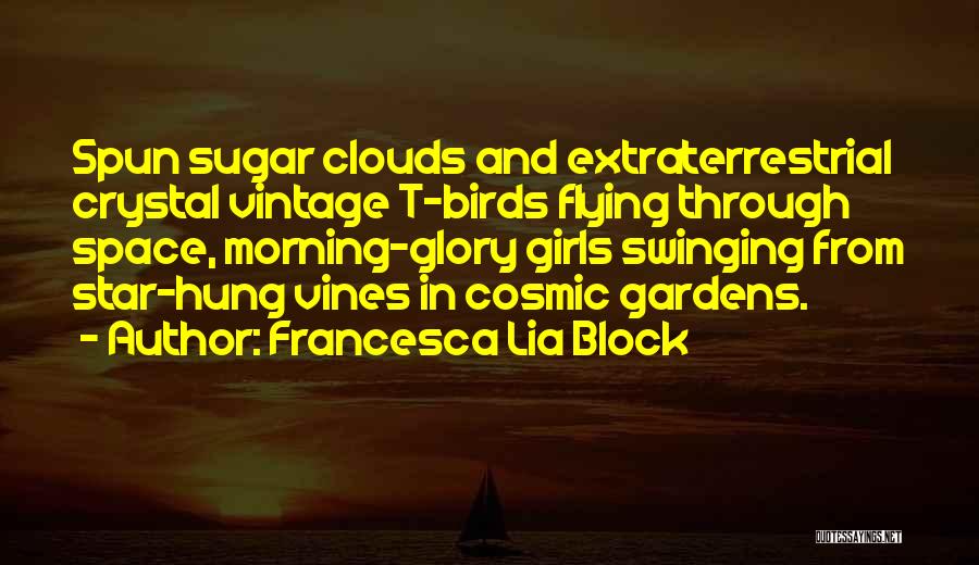 Clouds And Flying Quotes By Francesca Lia Block