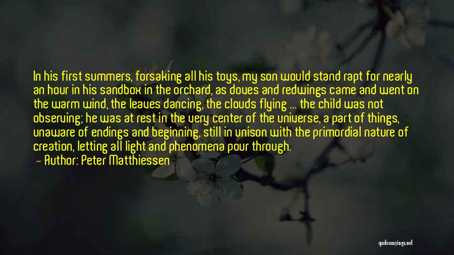 Clouds And Flying Quotes By Peter Matthiessen