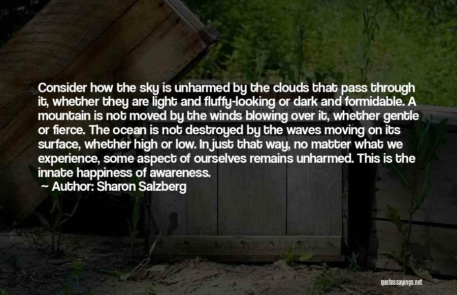 Clouds And Light Quotes By Sharon Salzberg