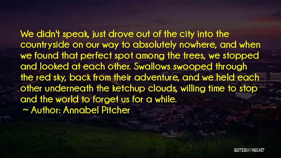 Clouds And Nature Quotes By Annabel Pitcher