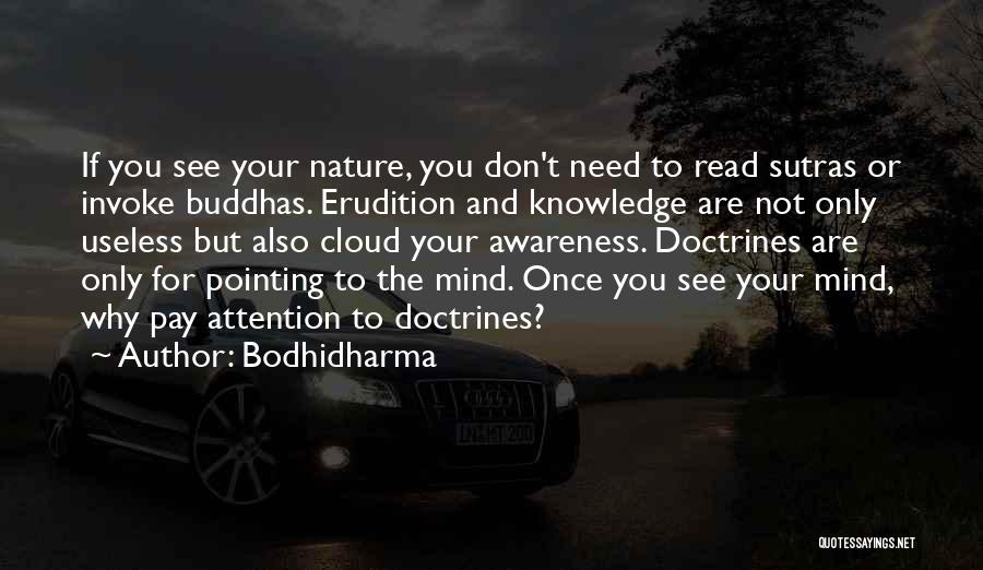 Clouds And Nature Quotes By Bodhidharma