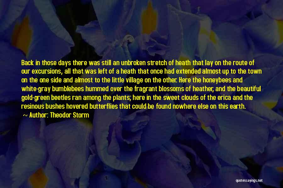 Clouds And Nature Quotes By Theodor Storm