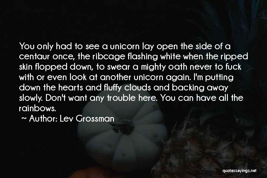 Clouds And Rainbows Quotes By Lev Grossman