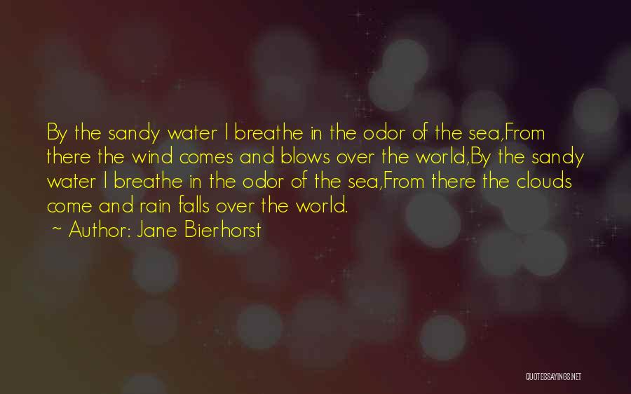 Clouds And Sea Quotes By Jane Bierhorst